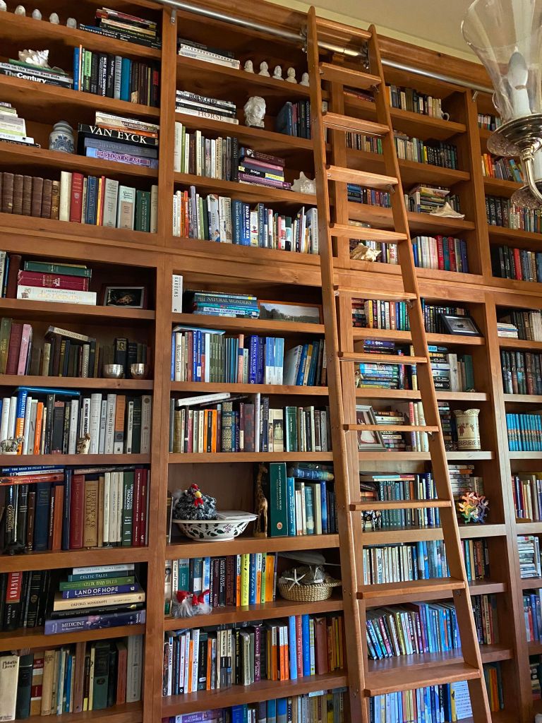 A ladder in a home library