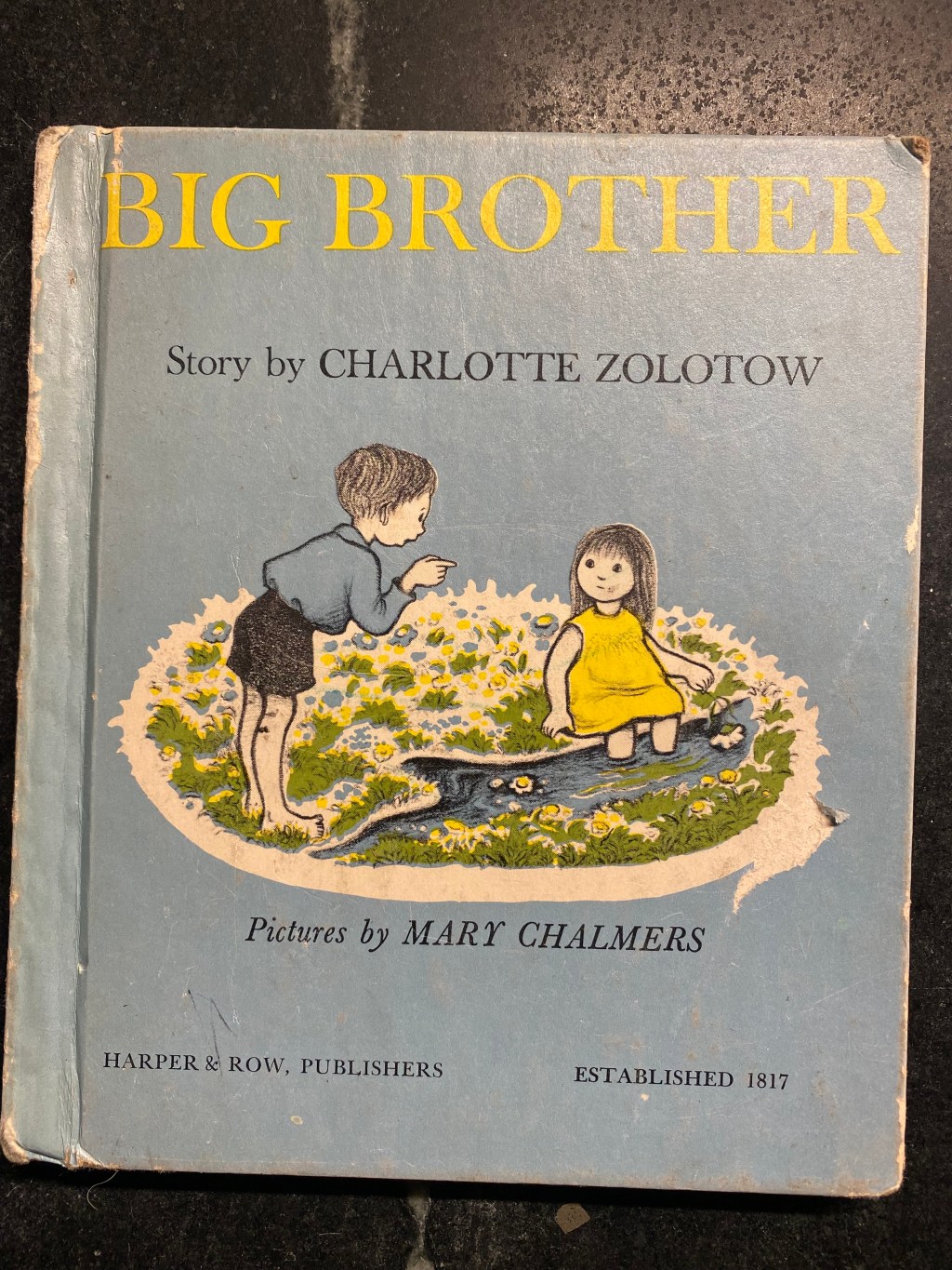 Big Brother, by Charlotte Zolotow, written in&nbsp;1960.