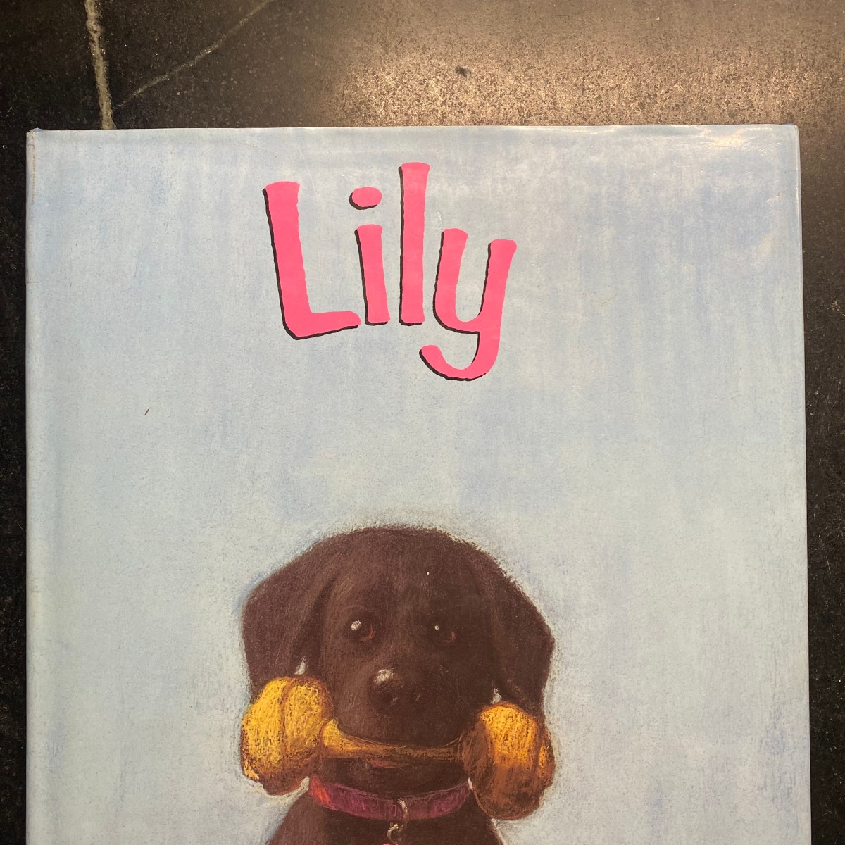 Lily, by Abigail Thomas.  Illustrations by William Low.  Written in&nbsp;1994.