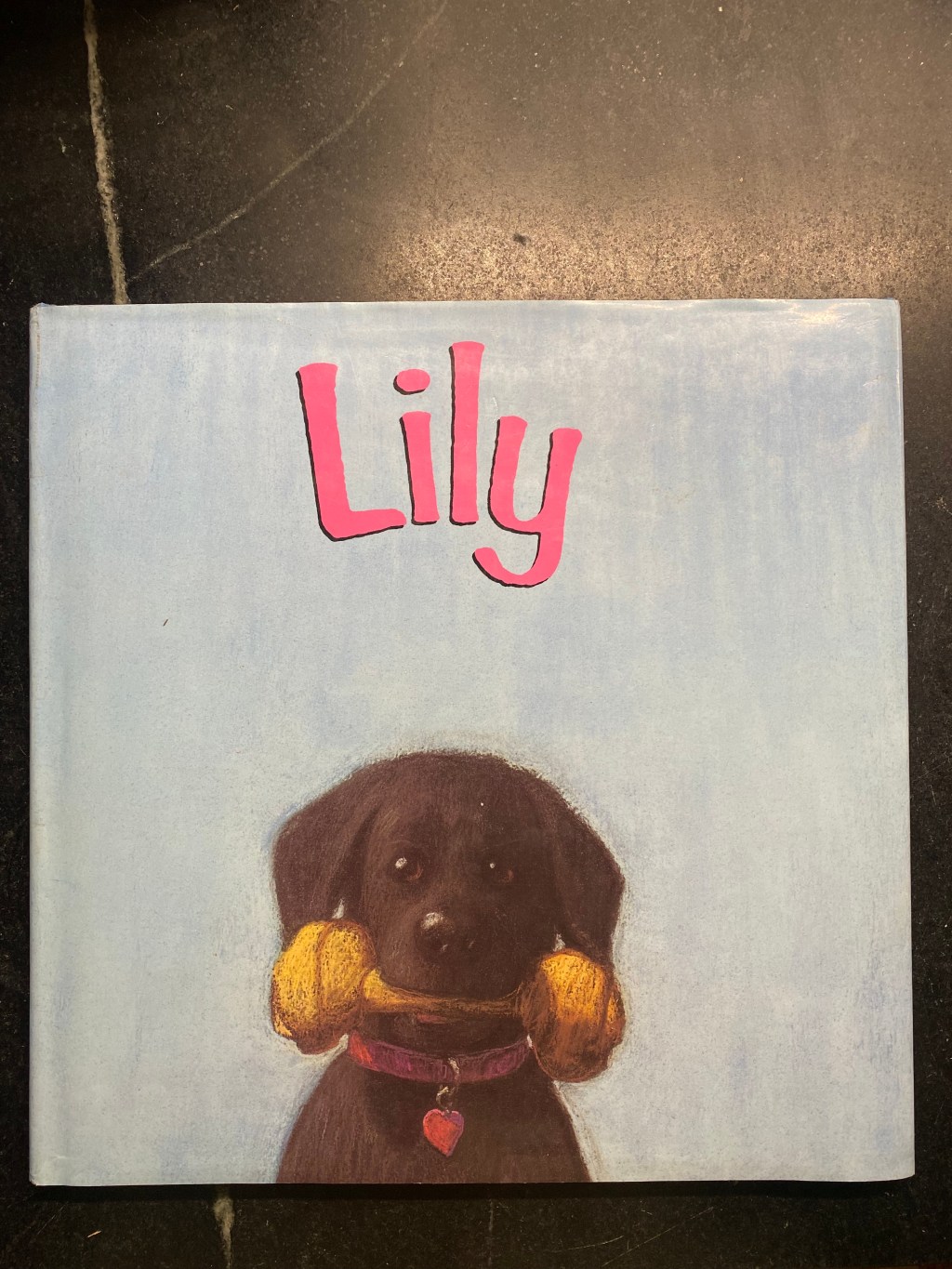 Lily, by Abigail Thomas. Illustrations by William Low. Written in 1994.